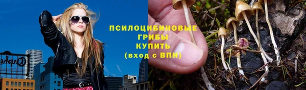 гидра Рославль
