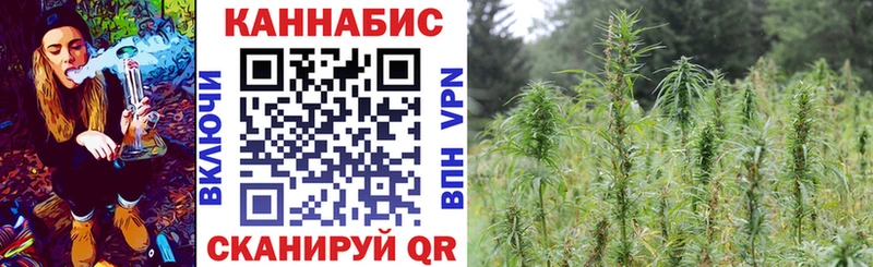 даркнет сайт  Стрежевой  Бошки Шишки марихуана 