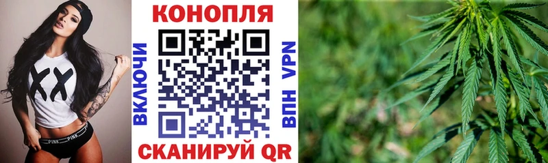 Бошки Шишки конопля Стрежевой